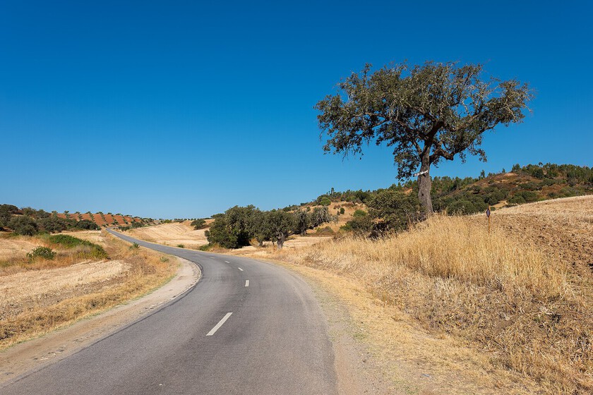 La ruta en coche más larga del planeta sin pisar costa tiene 14.043 kilómetros y se encuentra en un continente inesperado