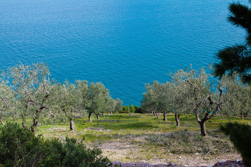 Italia se está quedando sin aceite