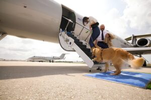 se llama Bark Air y acaba de inaugurar su primer vuelo