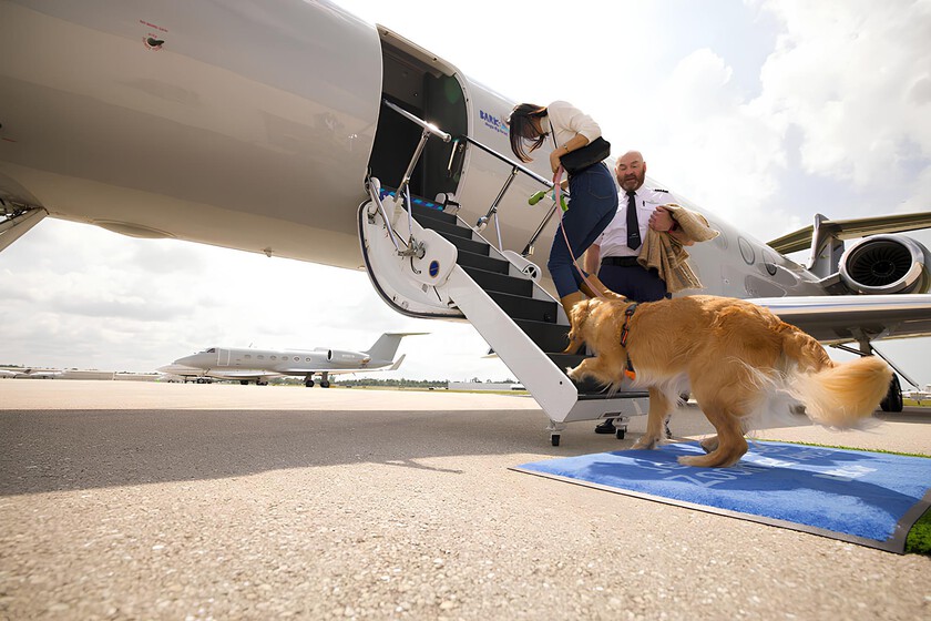 se llama Bark Air y acaba de inaugurar su primer vuelo