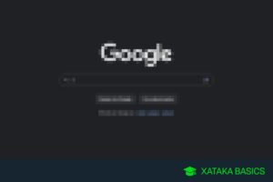 Las mejores 14 alternativas a Google para encontrar un buscador que se adapte mejor a ti