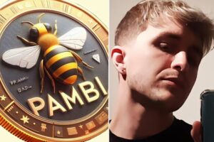 Dalas creó su propio criptomoneda. Tras convencer a sus seguidores para que subiera, provocó una caída del 80%