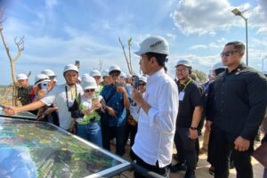Indonesia está construyendo una nueva megacapital, pero necesita que la gente se mude allí. Su solución: influencers
