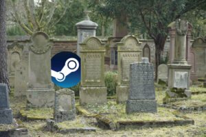 Tu cuenta de Steam es personal e intransferible. Tanto, que Valve no permite ni siquiera dejarla en herencia