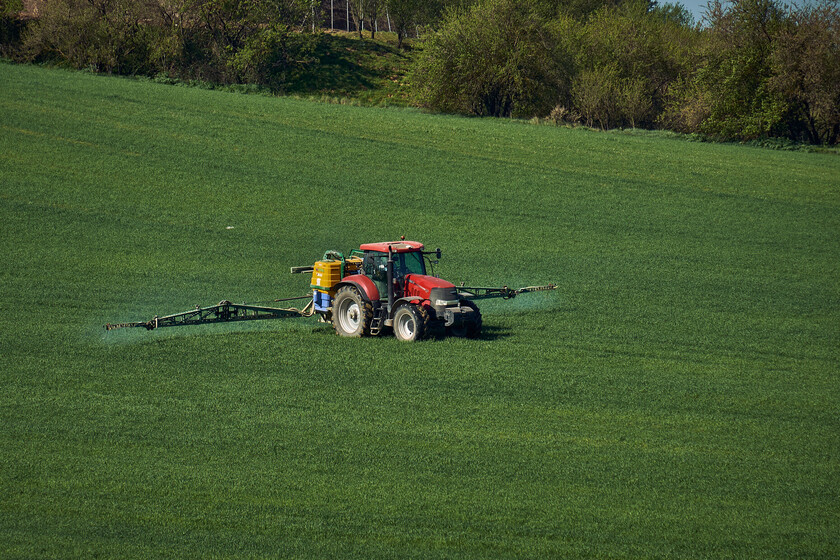 En California, los fondos descubrieron que no hay inversión más rentable que la tierra de cultivo. Ahora le toca a España