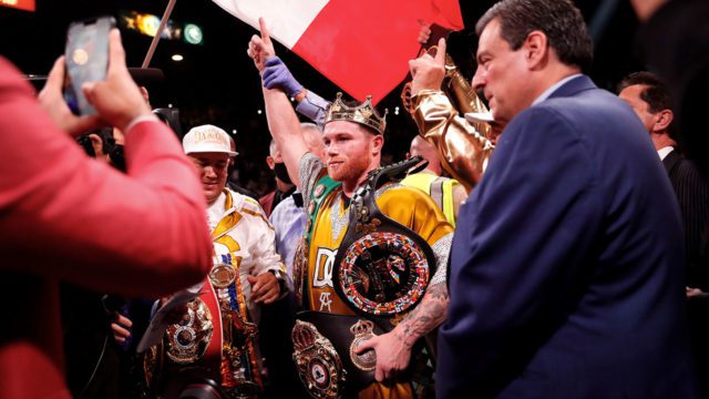 Canelo Plant Sulaimán
