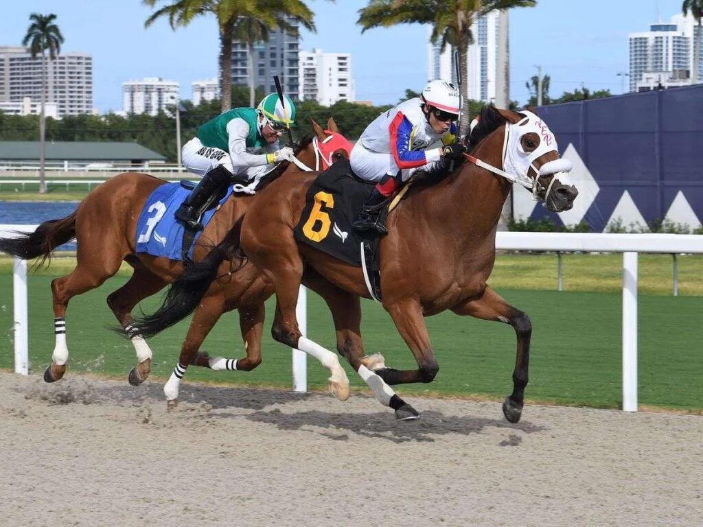 Jaramillo ganó el Big Drama Stakes