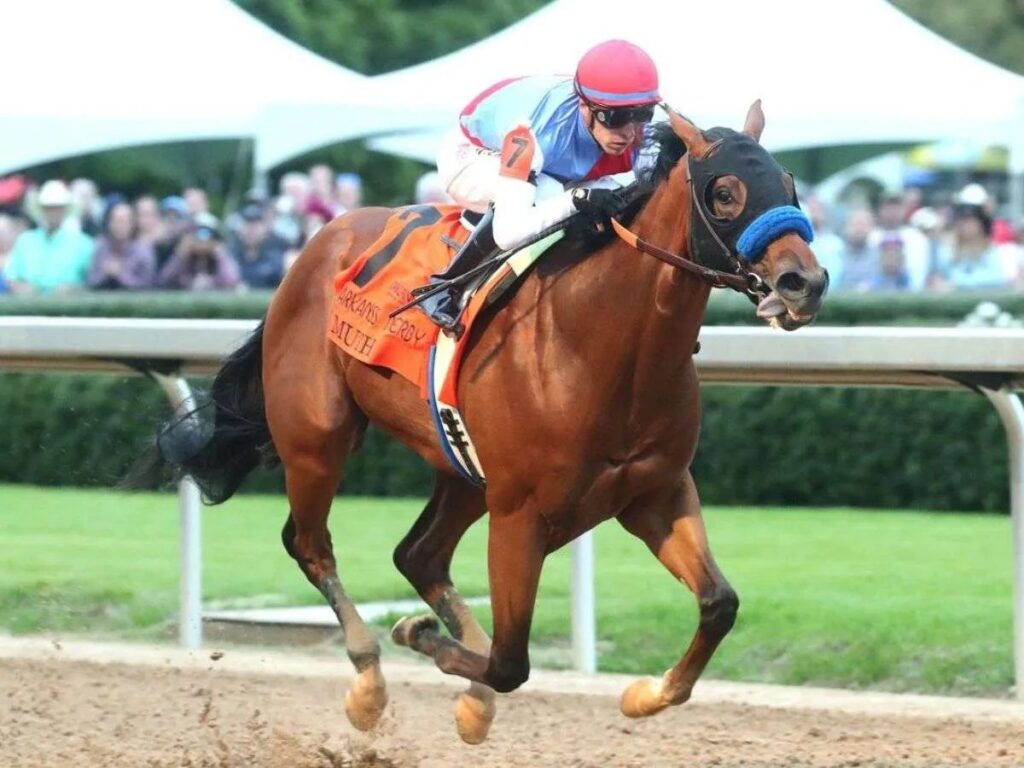 El potro Muth fue retirado del Preakness por fiebre