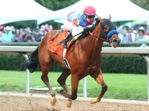 El potro Muth fue retirado del Preakness por fiebre