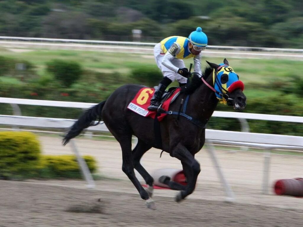A Papá Pedro buscarán correrlo en las 2 vueltas