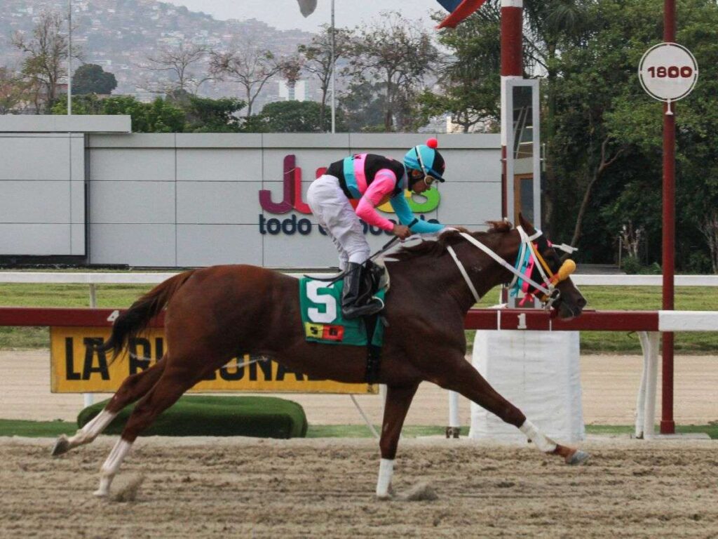 Time Traveler reapareció ganando como un campeón