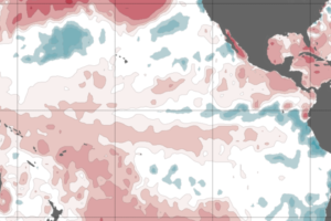El mundo va directo a La Niña tras el verano, según la Organización Meteorológica Mundial. Es momento de prepararnos
