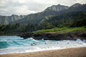 invitar a los suyos a limpiar playas y reforestar
