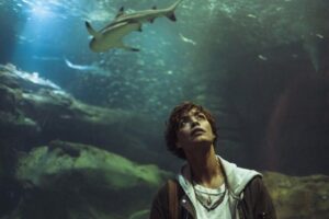 La película más vista de Netflix esta semana es un demoledor thriller que convierte París en un festín para tiburones