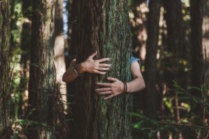 la técnica holandesa que usa la naturaleza para aumentar la felicidad
