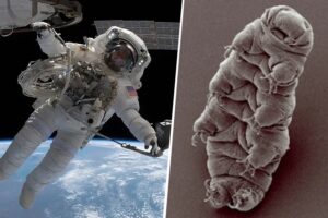 La NASA ha pedido a dos astronautas que salgan al exterior de la ISS a comprobar si hay organismos vivos