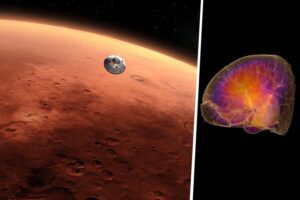 el espacio encoge los riñones