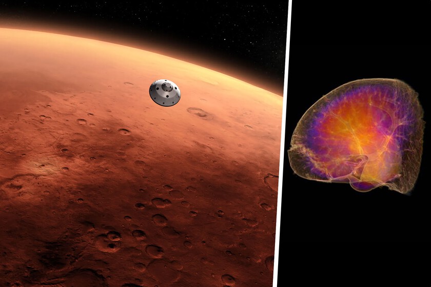 el espacio encoge los riñones
