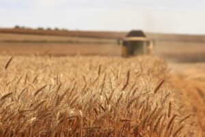 El próximo gran reto de la agricultura española es aprender a "plantar carbono". Hay un mercado de 700 millones esperando