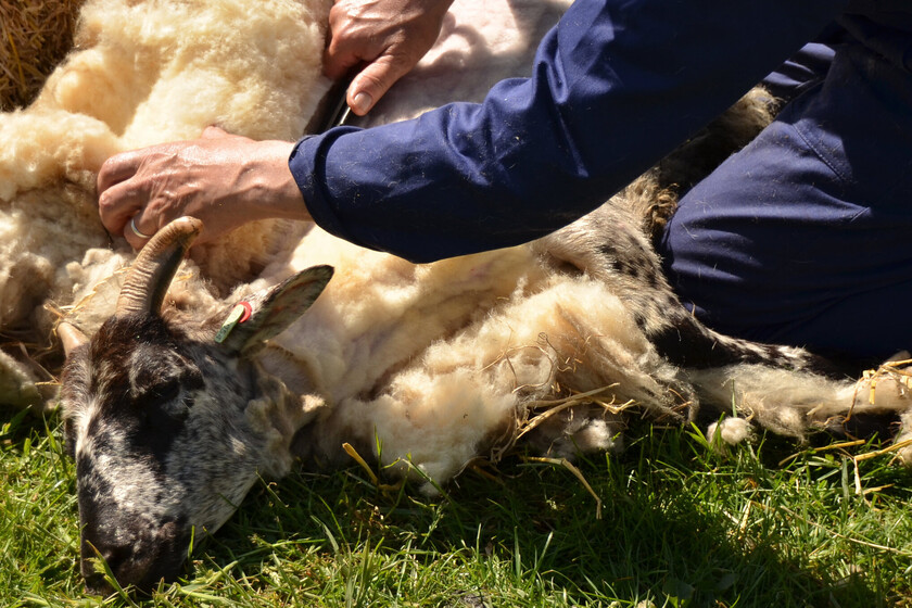 China le ha cerrado sus puertas