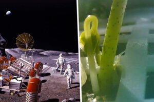 Para colonizar la Luna primero hay que reinventar la comida. La NASA quiere obtenerla del aire y China de Lanzarote
