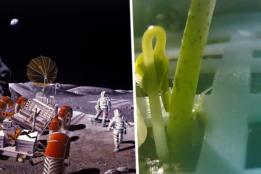 Para colonizar la Luna primero hay que reinventar la comida. La NASA quiere obtenerla del aire y China de Lanzarote