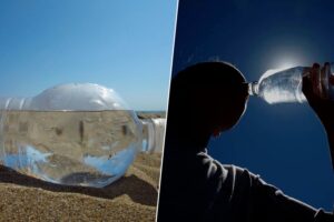La ciencia ya tiene una respuesta sobre beber agua de una botella expuesta al sol. No son buenas noticias