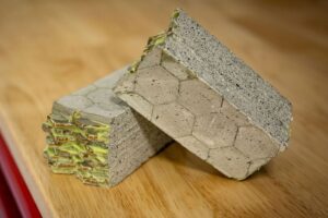 En la búsqueda por conseguir un cemento más resistente, estos investigadores han dado con la clave: las conchas