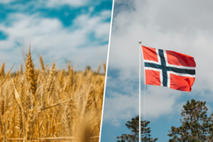 Noruega quiere cumular 82.500 toneladas de cereales antes de que acabe la década. El motivo: prepararse para "lo impensable"