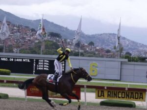Amelazado reverdeció laureles
