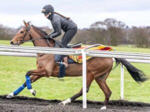 Hoy debuta hija de Enable