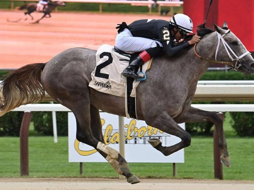 Hoy sortean los puestos de pista del Belmont Stakes