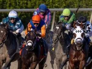 84 justas de la Breeders’ Cup
