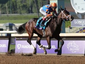 Fierceness y Mindframe apuntan al Haskell Stakes