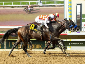 Mr. Fisk ganó y se lesionó en el Hollywood Gold Cup
