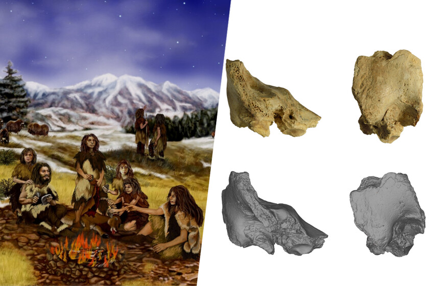 El síndrome de Down nos acompaña desde antes de convertirnos en humanos modernos. El altruismo, también
