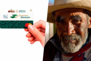 el calendario de pagos para julio y agosto 2024