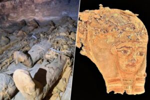 Hemos encontrado todo tipo de tumbas egipcias, y ninguna se parece a estas. Revelan cómo morían familias enteras