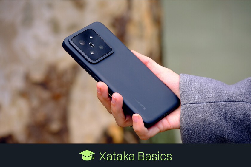 Cómo saber si tu móvil Xiaomi, Redmi o POCO actualizarán a Android 15 con un solo clic con esta app
