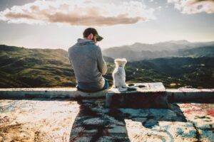 Alguien ha ofrecido 10 millones de dólares a quien resuelva uno de los grandes retos de la ciencia: hablar con los animales