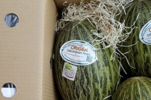 la ciencia de elegir un buen melón en el supermercado