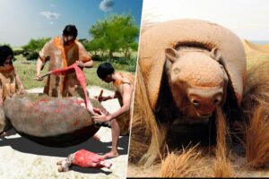 En Argentina la carne es sagrada. Un banquete en Buenos Aires hace 20.000 años ha revelado algo sorprendente