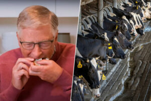 En su lucha contra el cambio climático, Bill Gates tiene un nuevo plan para reemplazar a las vacas: hacer mantequilla de CO2
