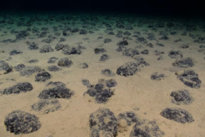 Acabamos de dar con "oxígeno oscuro" en el lugar más inesperado. Se está produciendo en los confines del océano