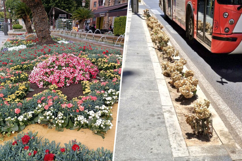 Murcia deja la última muestra de un problema aparentemente irresoluble para las ciudades: acertar con sus plantas