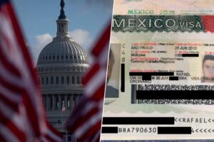 el proceso ahora es más sencillo