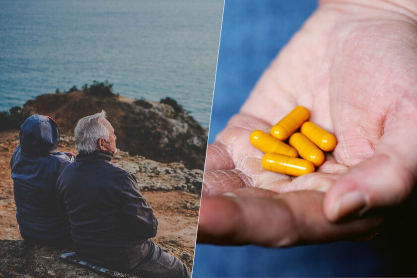 Hemos encontrado unos suplementos capaces de mejorar la memoria en personas mayores. La clave está en la microbiota