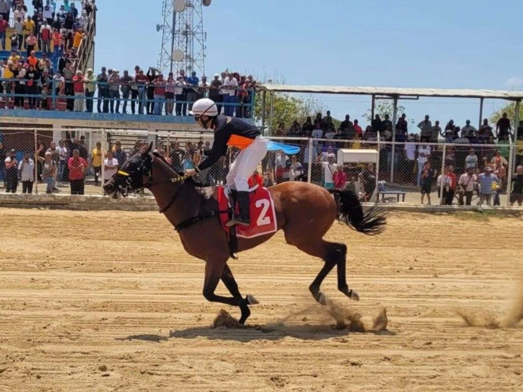 AsíEsElManí por el 2° paso