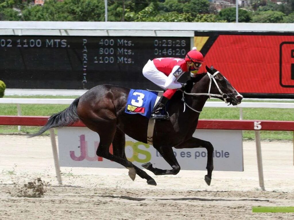 Turbinada-Benedetta: duelo esperado - Líder en deportes