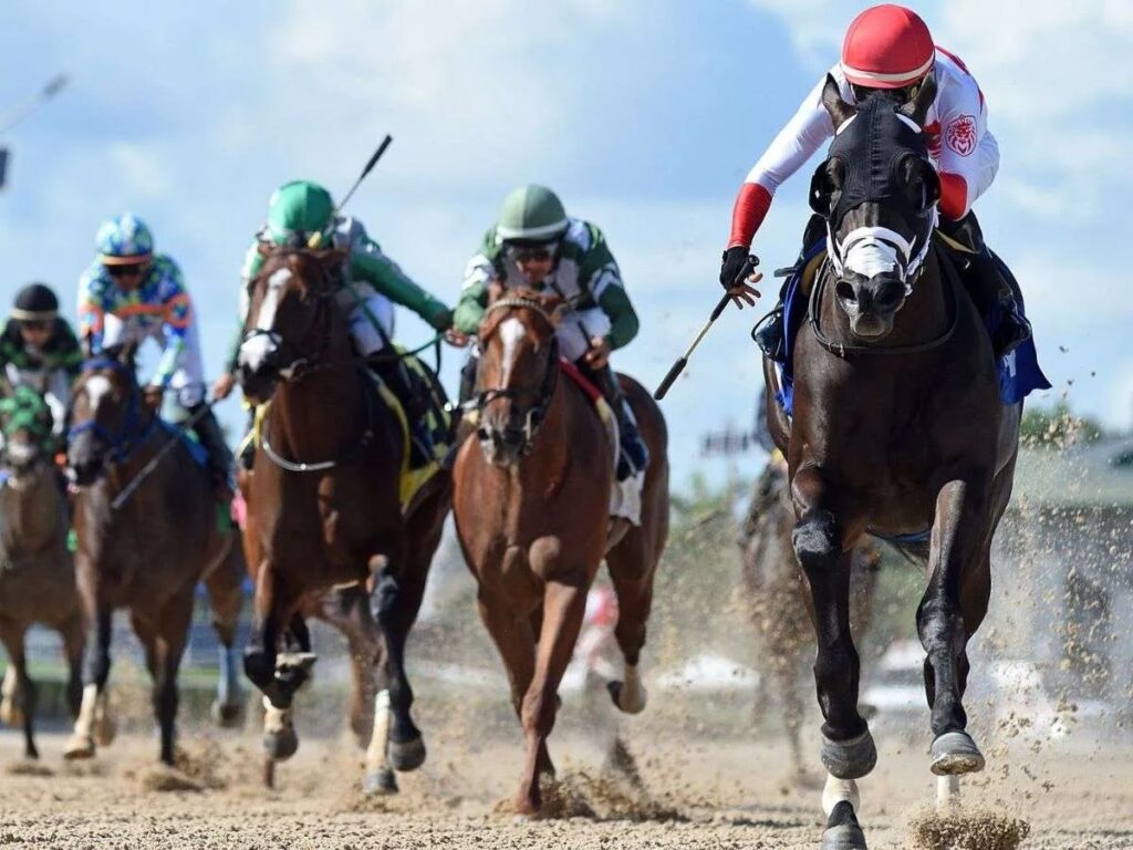Criollos por el Spring Stakes